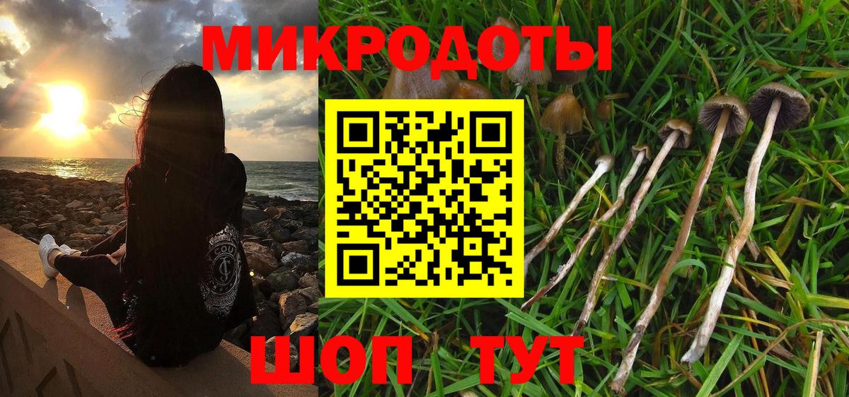 Галлюциногенные грибы мухоморы  Вход с VPN  Рославль  Галлюциногенные грибы прущие грибы 